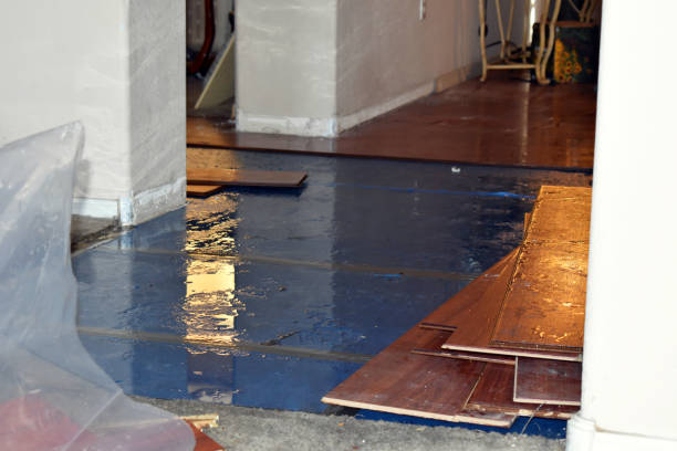 Professional Basement Flood Cleanup technician working in Newtown Square, PA